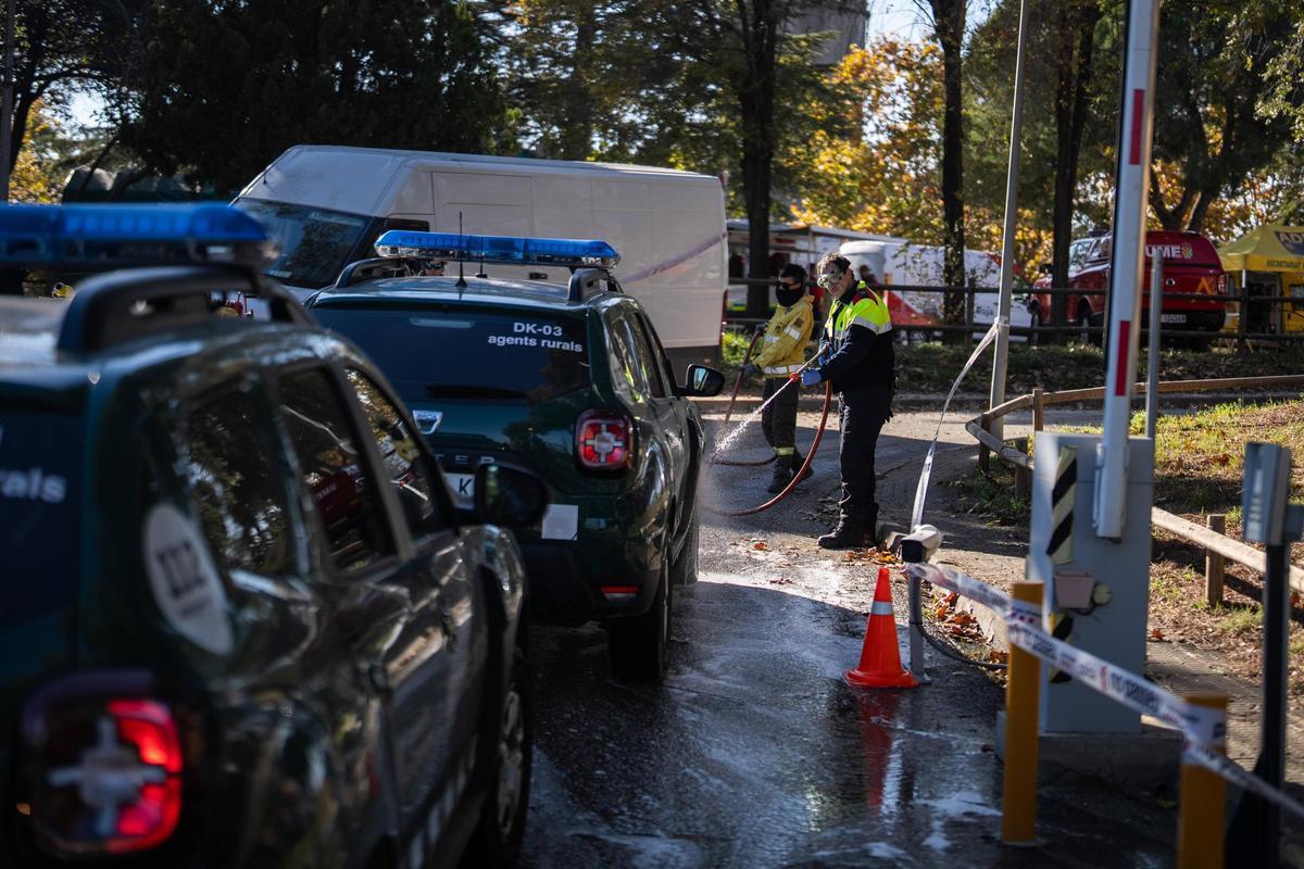 Efectivos de la UME y agentes rurales se reúnen en la zona declarada en cuarentena por la Peste Porcina Africana en Torreferrussa, antes de iniciar las tareas previstas.