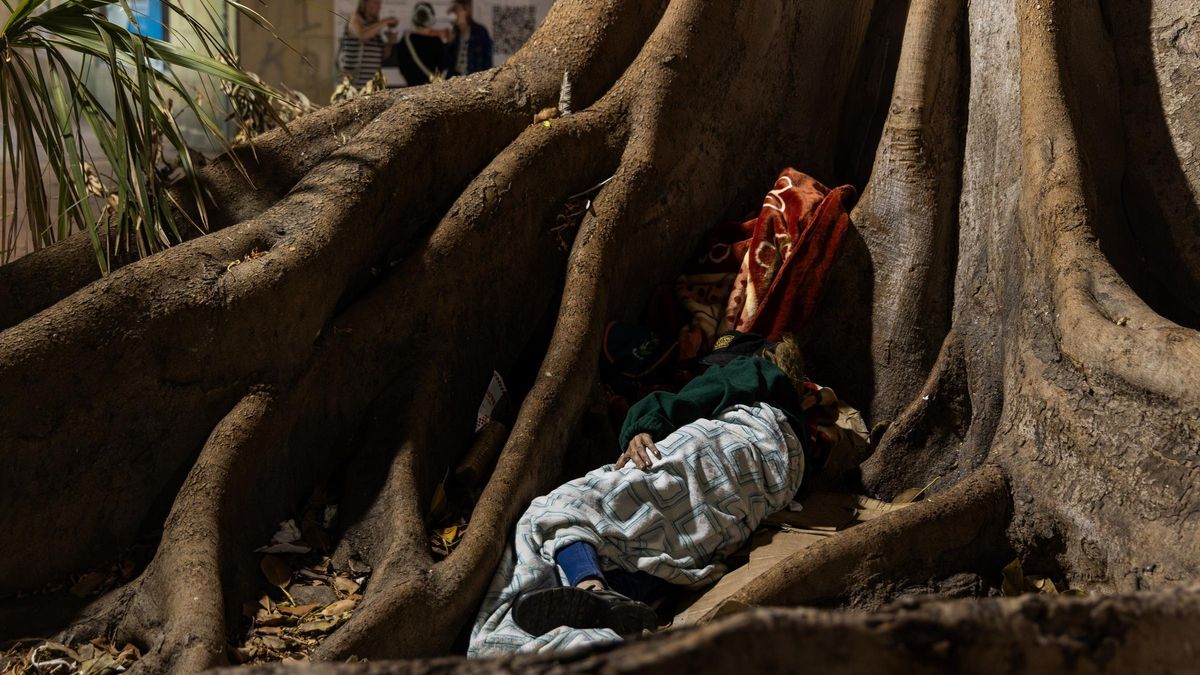 Cuando dormir en la calle de Alicante es la única opción Cuando dormir en la calle de Alicante es la única opción