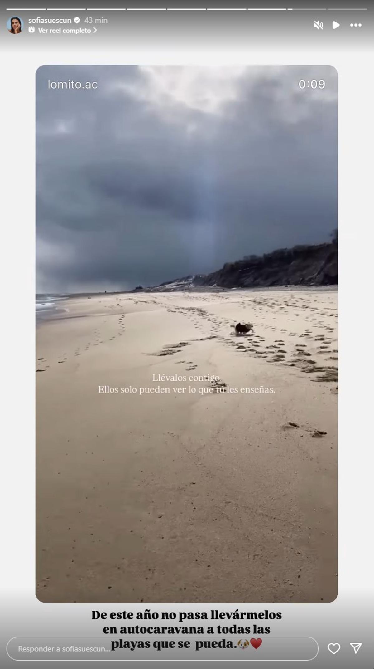 Story publicada por Sofía Suescun