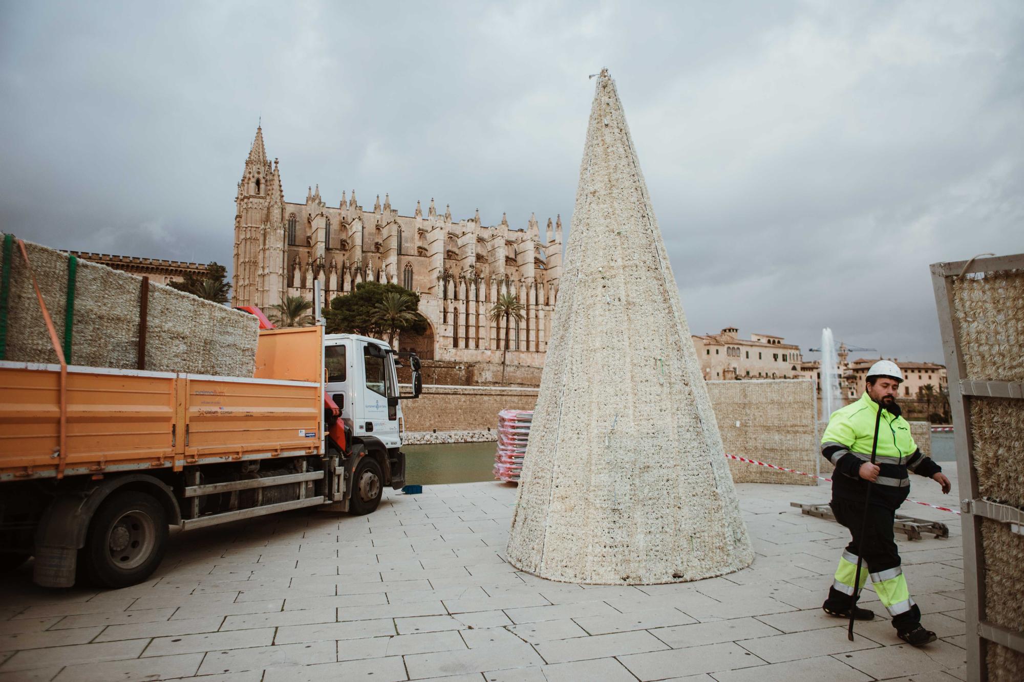 Cort empieza a montar el árbol iluminado del Parc de la Mar