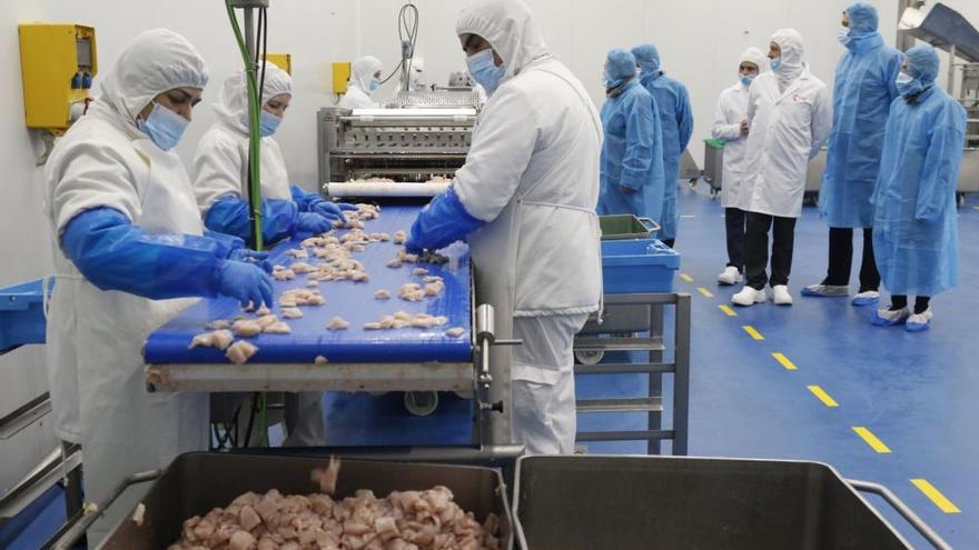 Instalaciones de Freigel, en Zamora.