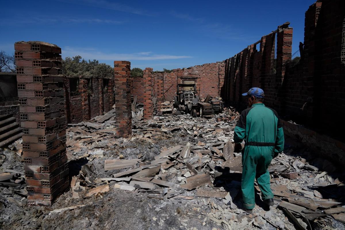 GALERÍA | El paso del fuego por Mámoles arrasa la explotación de Alfredo Fernándes