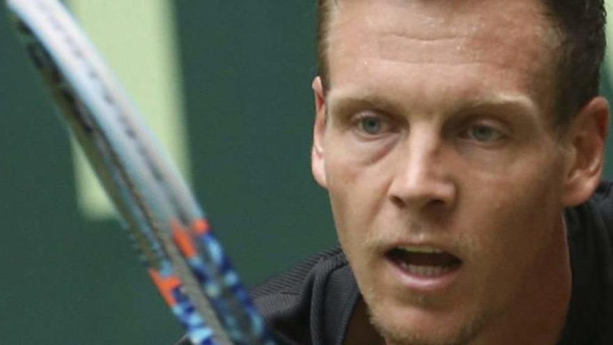 El tenista checo Tomas Berdych