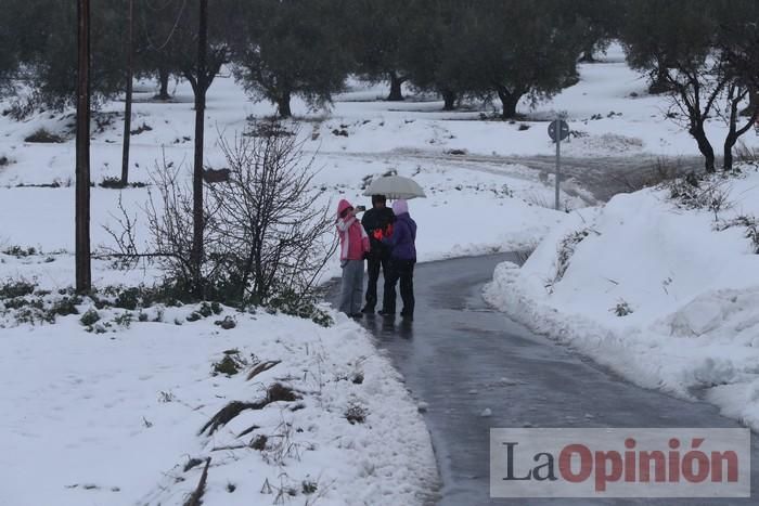 Nieve en Coy y Avilés (Lorca)