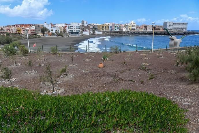 25-03-20 GRAN CANARIA. TELDE. TELDE. Recorrido por la ciudad de Telde para vera su desolación.   Fotos: Juan Castro.  | 25/03/2020 | Fotógrafo: Juan Carlos Castro