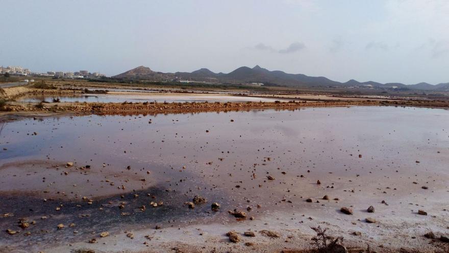 A licitación el paseo de las Salinas de Marchamalo 4 años después