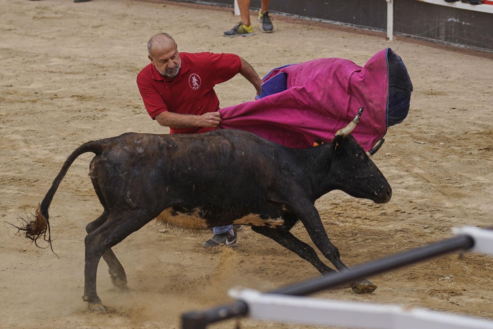 Les imatge del correbou de Vidreres