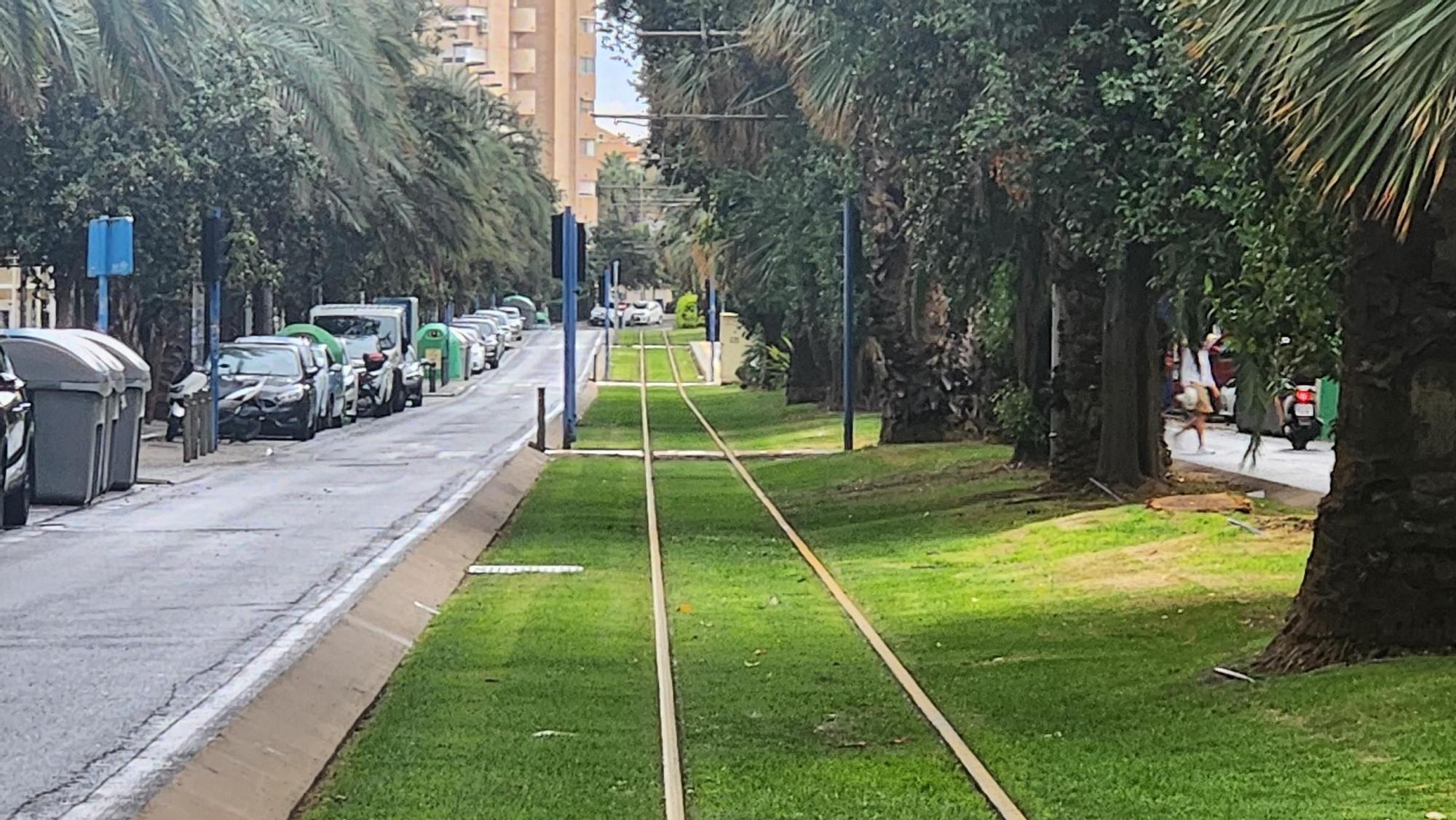 El TRAM sin circulación en Alicante por las lluvias
