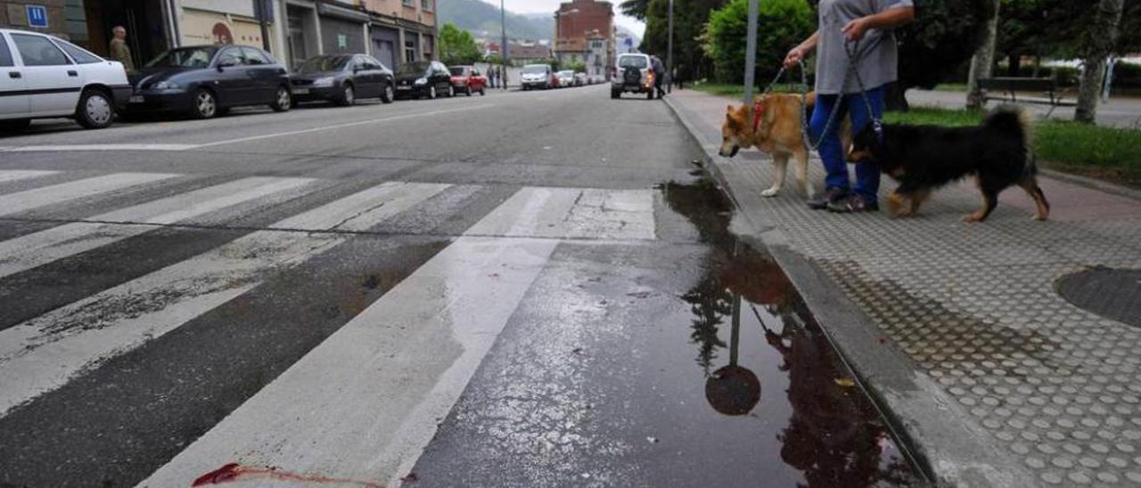 Paso de peatones de Mieres en el que resultó herida una mujer.