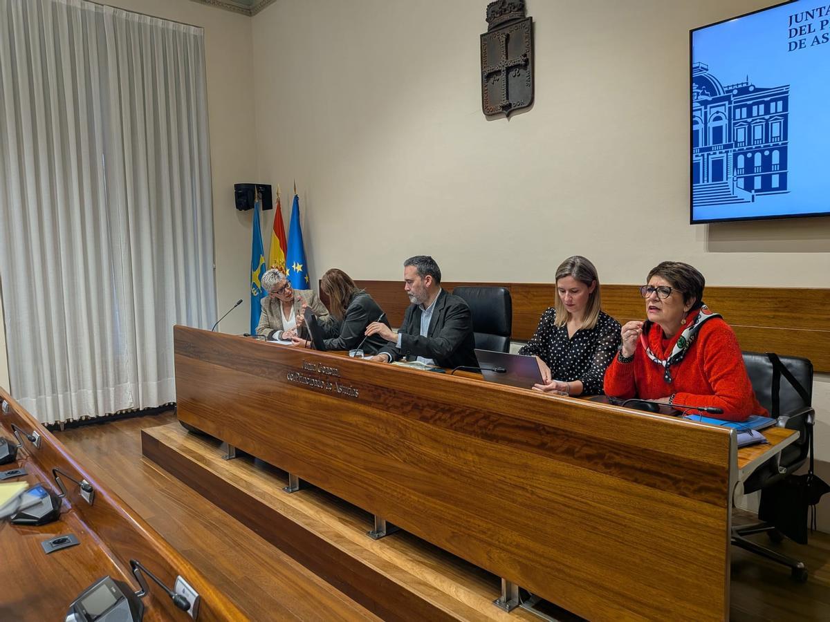Un momento de la comparecencia de la consejera, a la izquierda, en la Comisión de Salud.