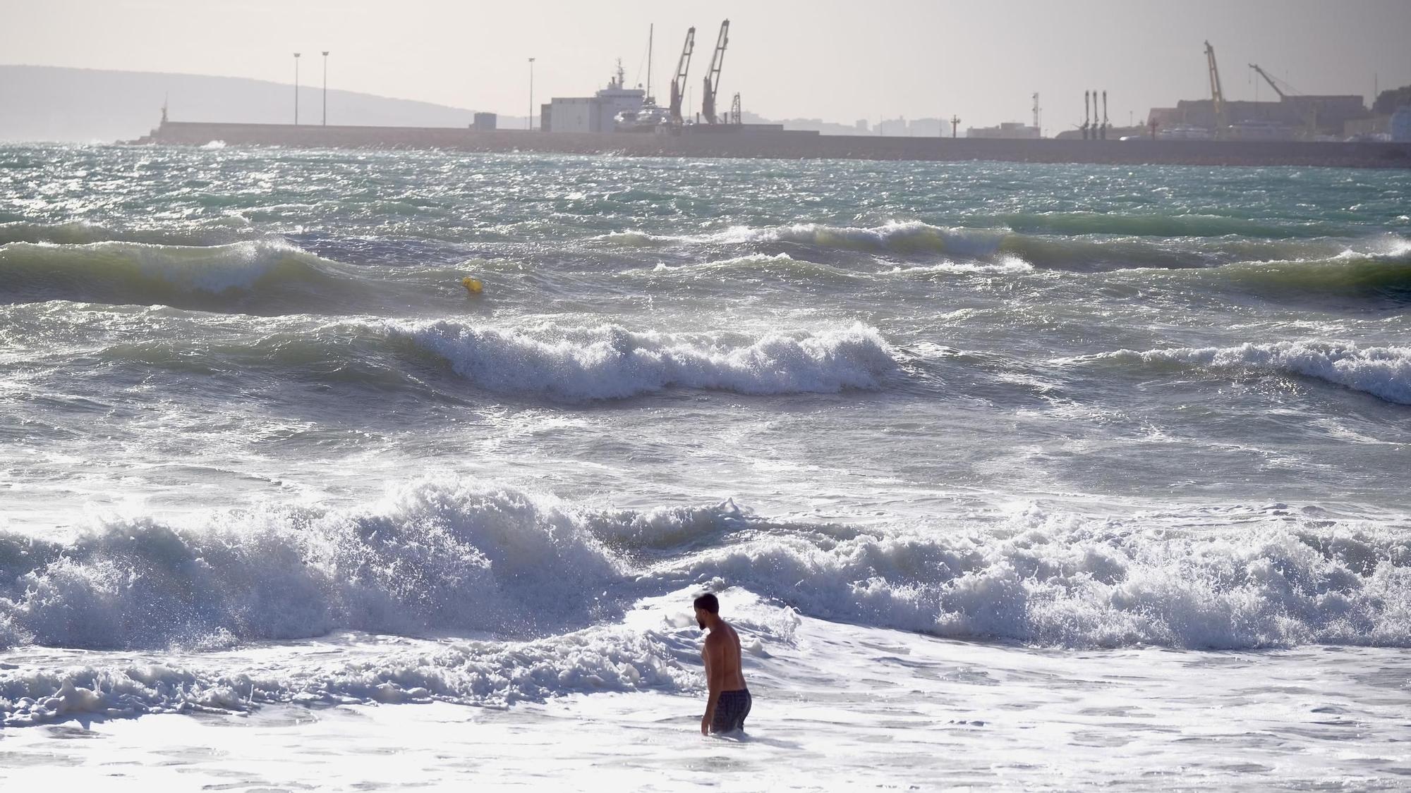 Borrasca Ciarán en Mallorca: Las fotos de los chapuzones de bañistas en pleno temporal