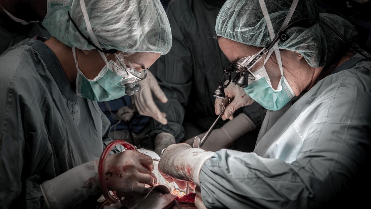Primer trasplantament simultani de cor i fetge a Espanya
