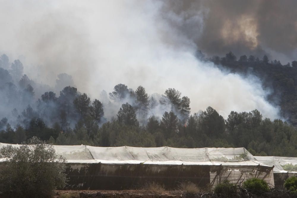 El fuego en los términos de Anna, Chella y Bolbait