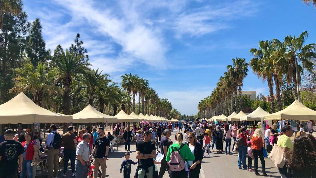 Cientos de personas visitaron la I Fira de Asociacionismo y Participación de Aldaia .