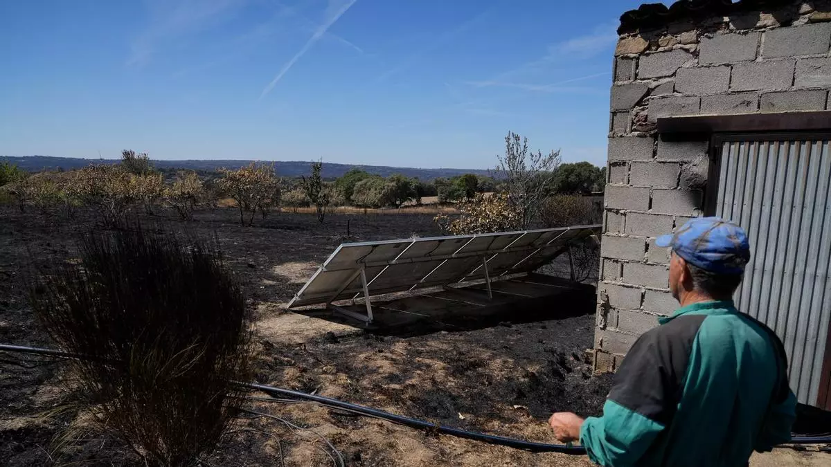 El incendio de Fermoselle se ceba con Mámoles y desnuda la explotación de Alfredo: "Solo he podido salvar las ovejas"