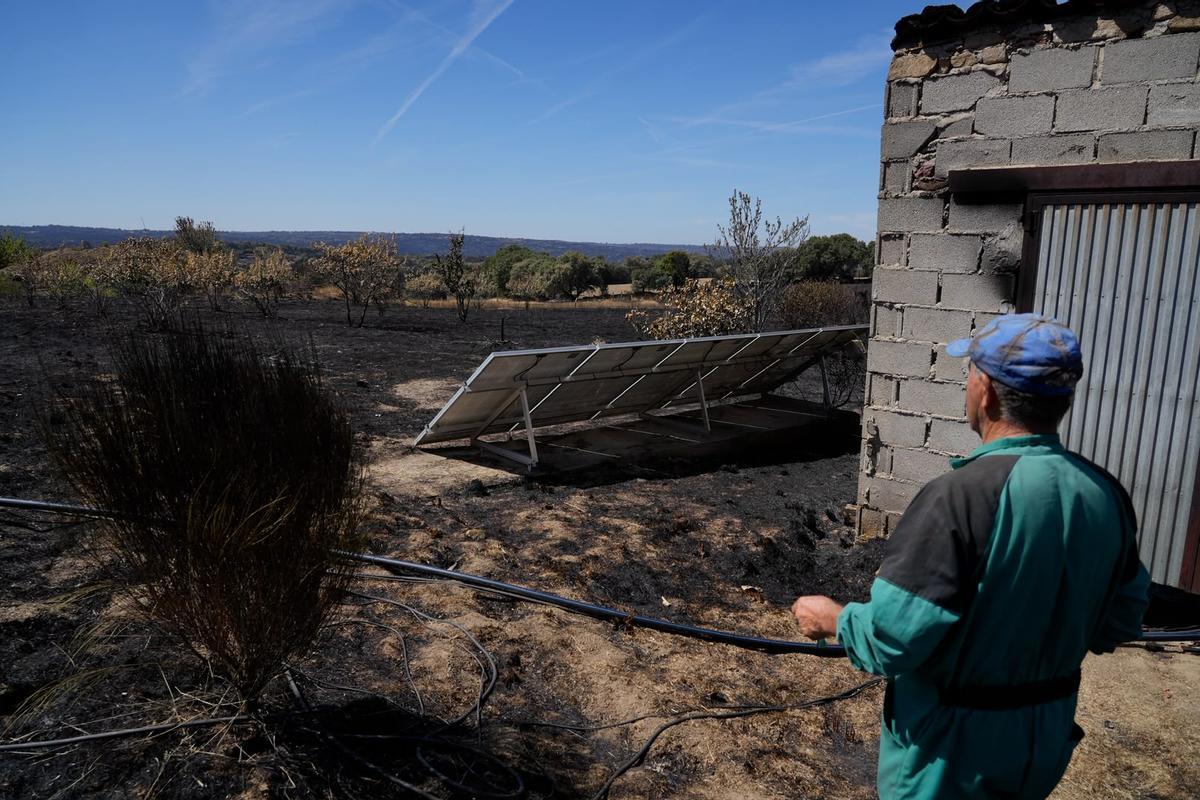 GALERÍA | El paso del fuego por Mámoles arrasa la explotación de Alfredo Fernándes