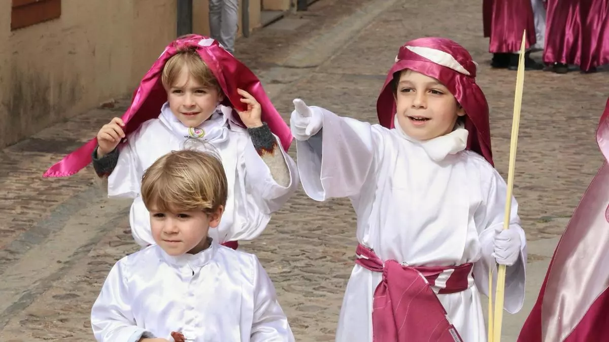 Revive aquí la procesión de la 'Borriquita' 2025 en Zamora