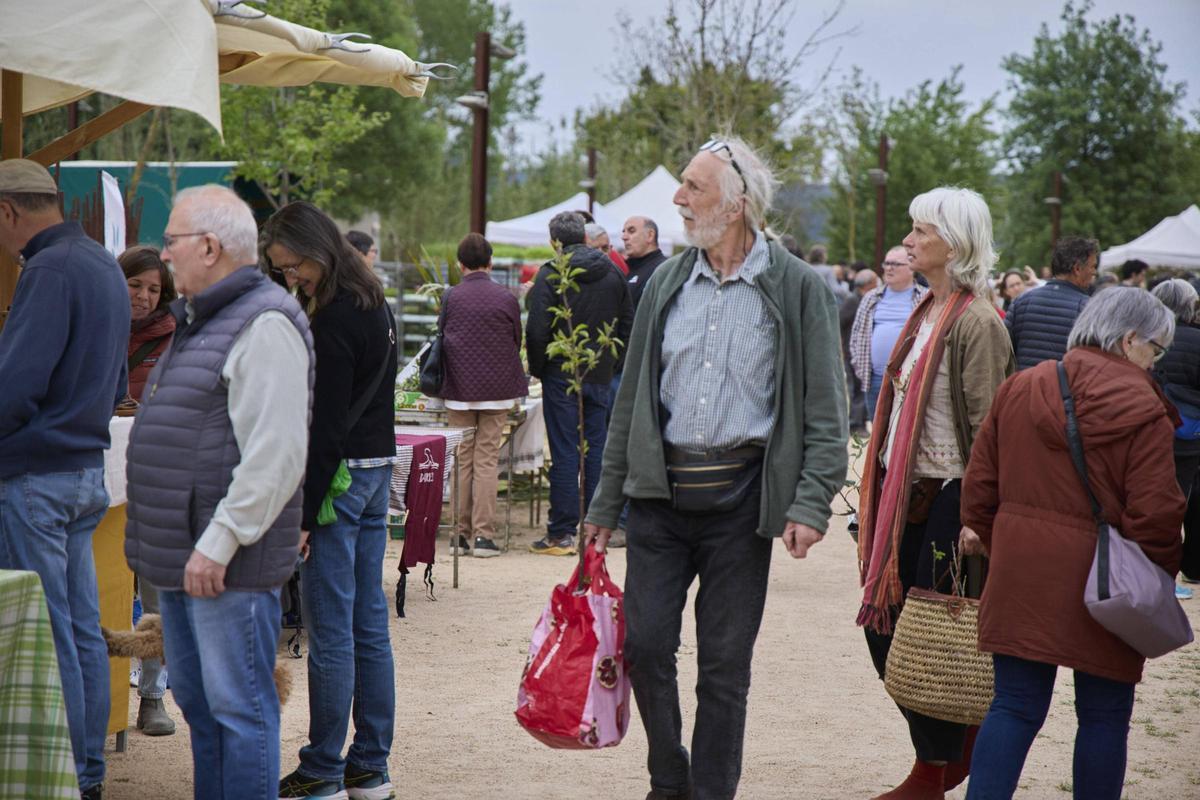 Una gentada s’ha acostat per visitar els 34 expositors presents, per participar en algun dels tallers programats o passejar per l’espai natural de la Fira de la Flor i el Planter. Una gentada s’ha acostat per visitar els 34 expositors presents, per participar en algun dels tallers programats o passejar per l’espai natural de la Fira de la Flor i el Planter.