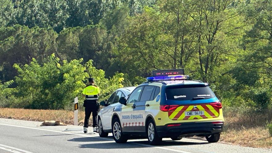 La fauna salvatge provoca quatre de cada deu accidents de trànsit a la Catalunya central