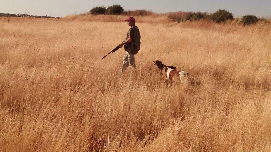 Un cazador otea el campo en busca de una presa.