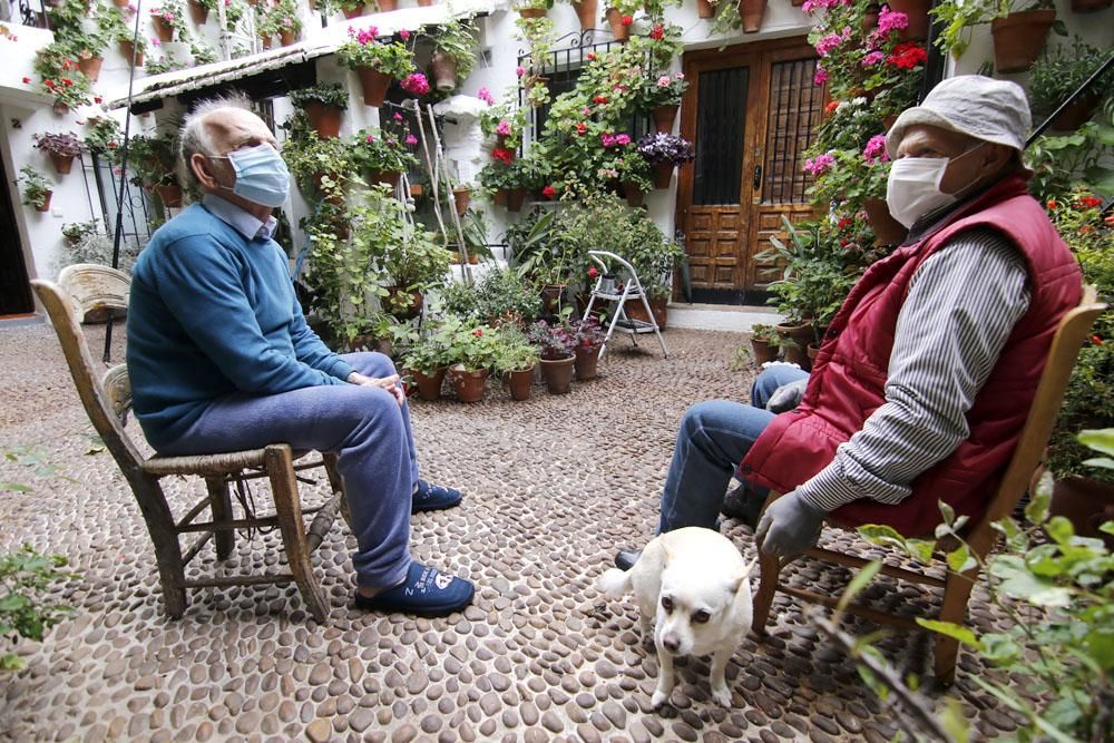 Los patios cordobeses, confinamiento interior por el coronavirus