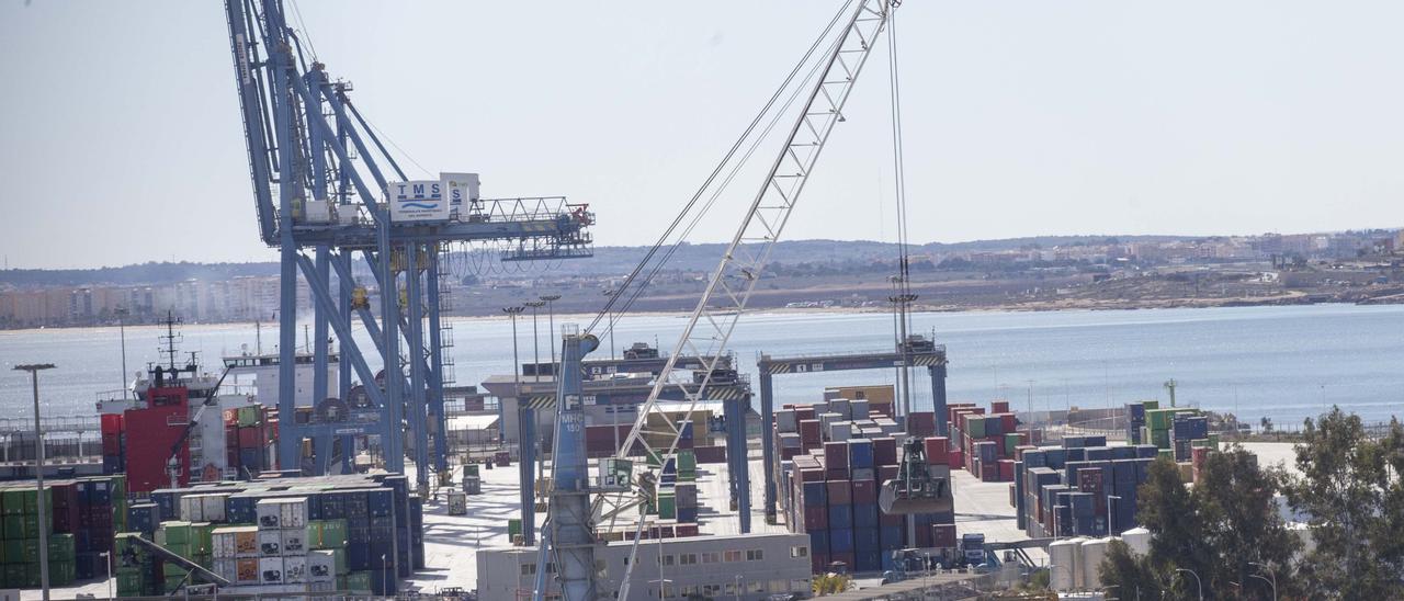 Vista general de la terminal de TMS en el puerto de Alicante