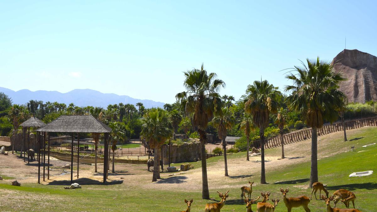 El paisaje vegetal que cuidan con esmero en Terra Natura es producto de un detallado estudio paisajístico.