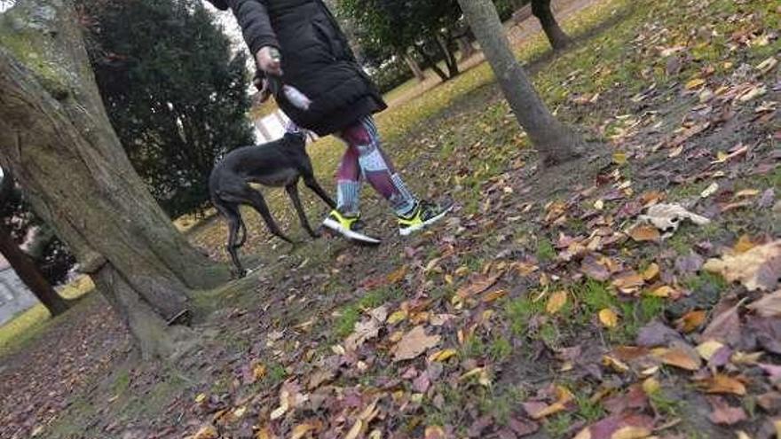 Una mujer, paseando ayer con su perro por el parque de Versalles.