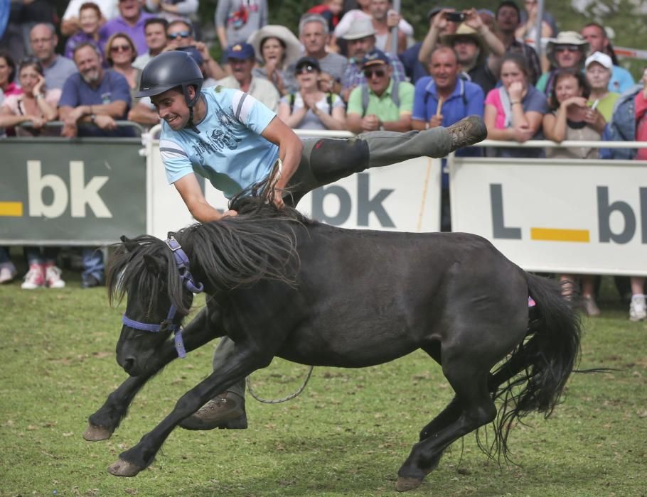 Fiesta del Asturcón en El Sueve