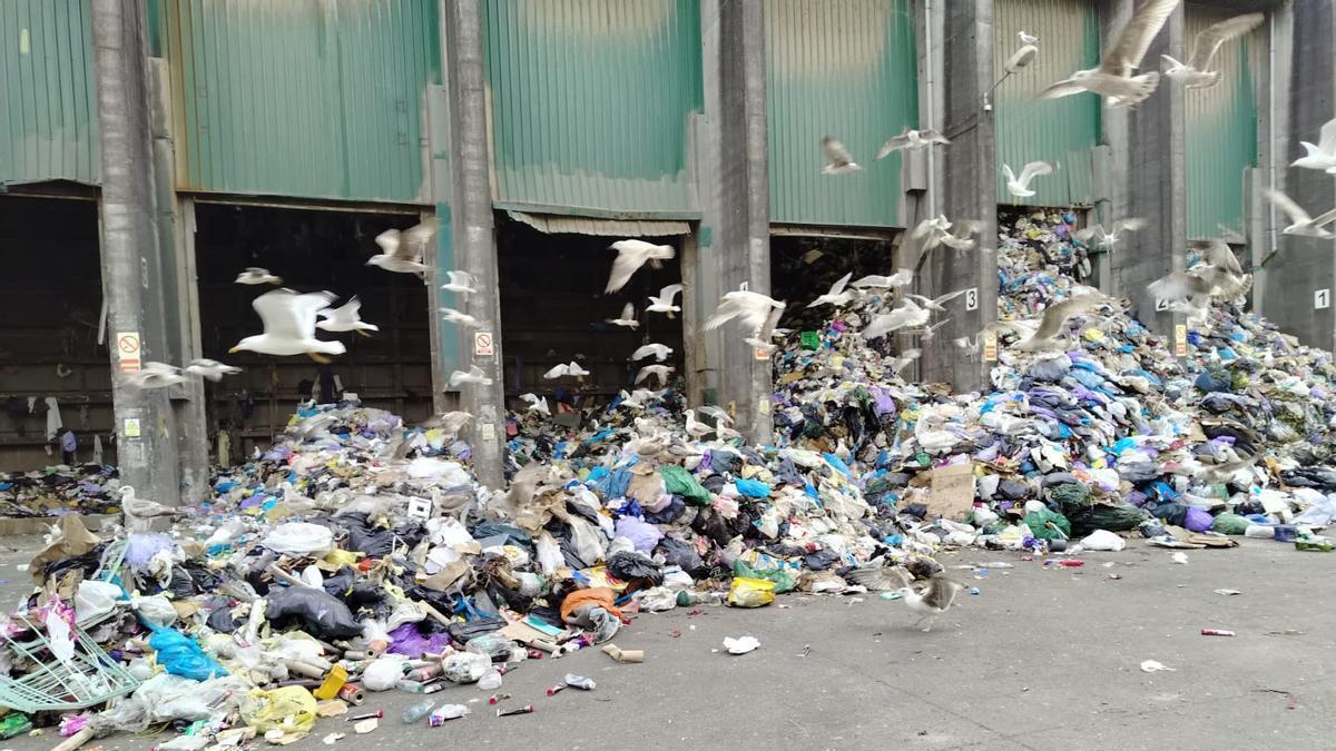 Basura sin tratar acumulada estos días en Nostián.