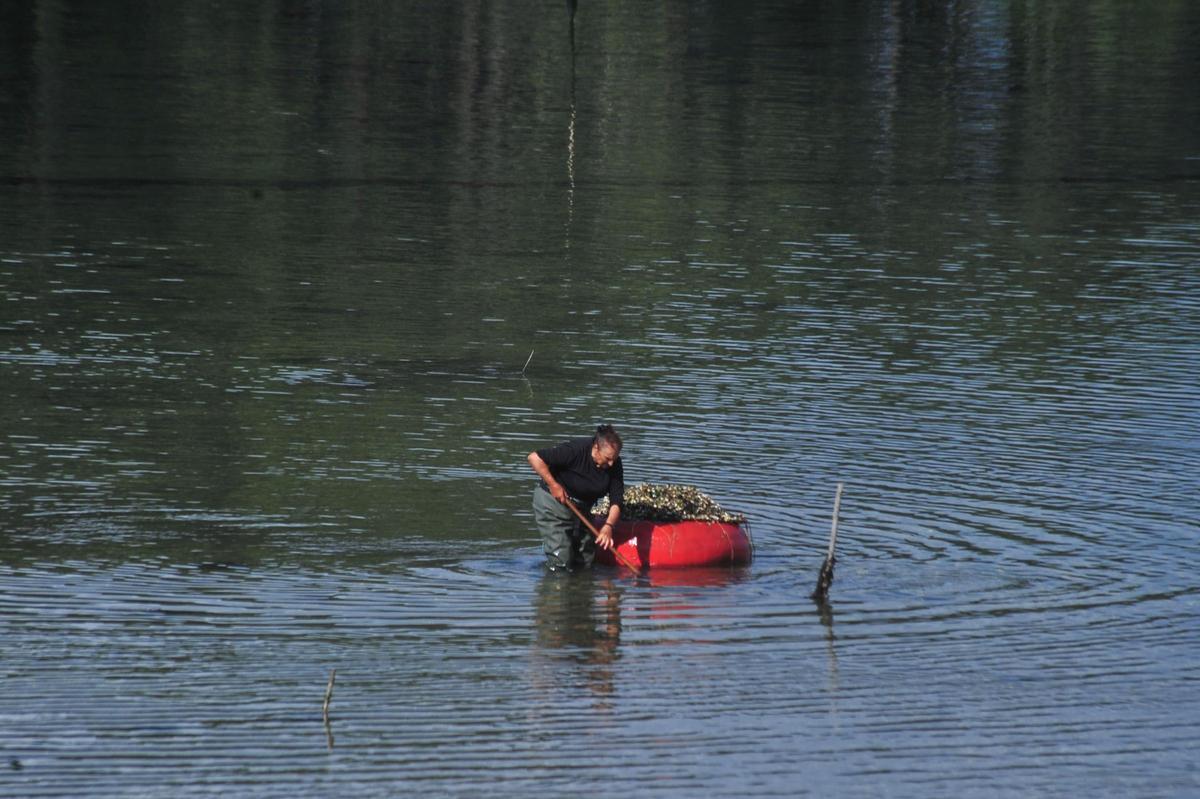 Parquistas de Carril en plena actividad.