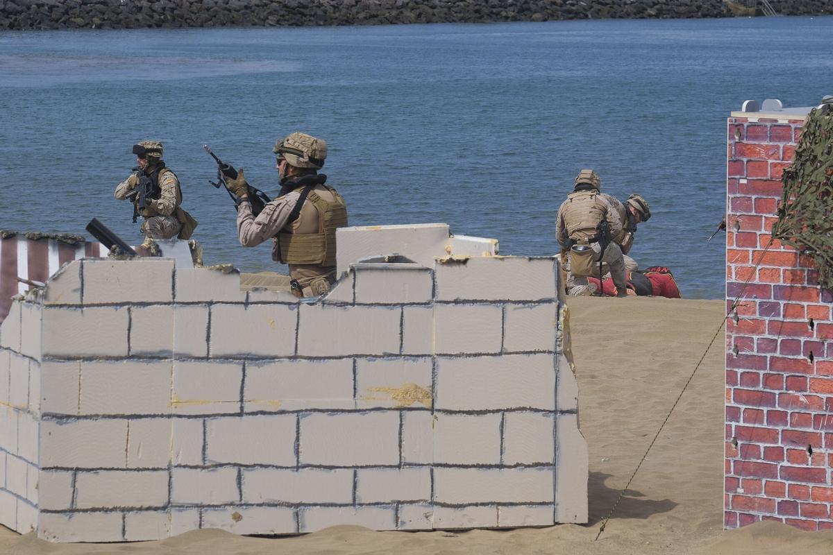 Exhibición por el Día de las Fuerzas Armadas, en la playa de Alcaravaneras Exhibición por el Día de las Fuerzas Armadas, en la playa de Alcaravaneras