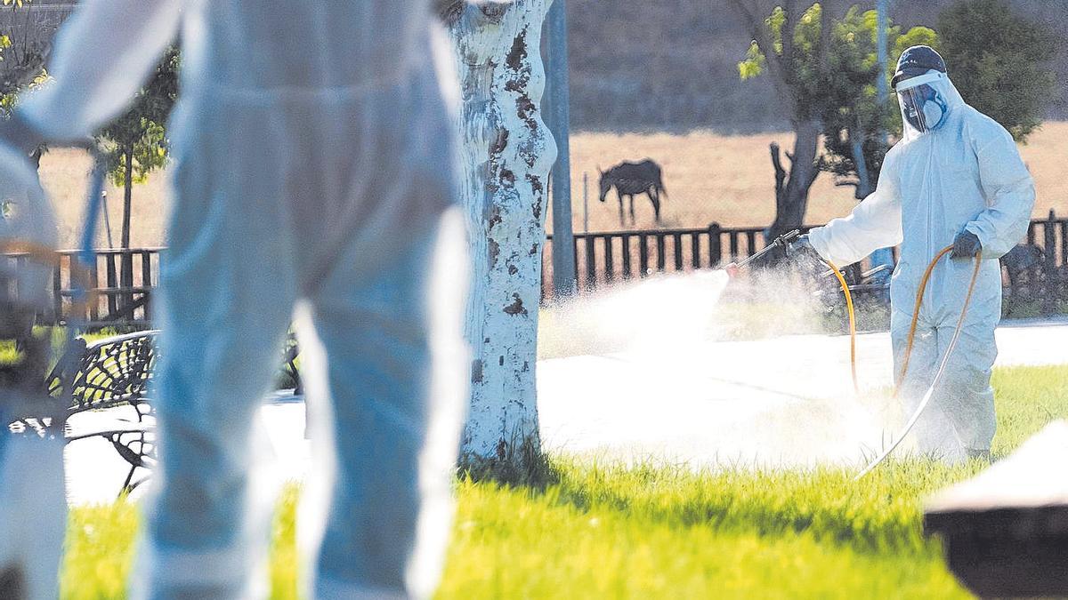 Un operario fumiga unos jardines en La Puebla del Río.