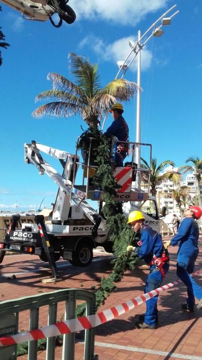 Árbol navideño de Heineken en Las Canteras