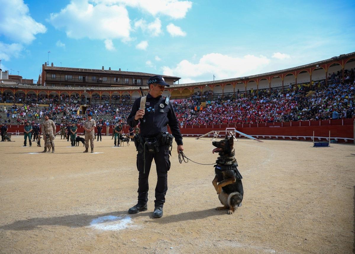 El equipo canino (formado por el policía o militar y el perro) mostró toda su capacidad, que cada día salva vidas y pilla a los 'malos'
