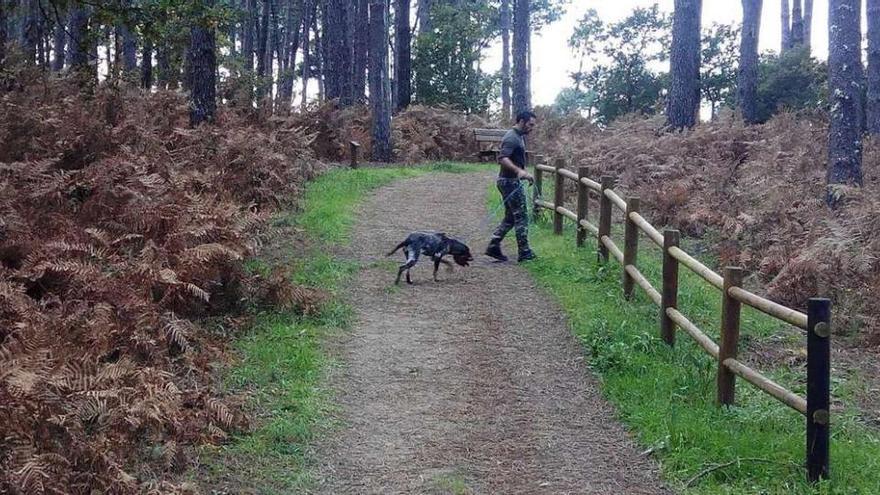 Los cazadores y sus perros buscaron al jabalí de A Toxa durante toda la tarde de ayer. // Muñiz