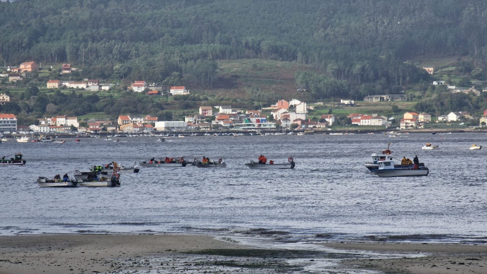 Así es el día a día en el puerto y la lonja de O Testal (Noia), donde cada vez se dan cita más mariscadores arousanos.