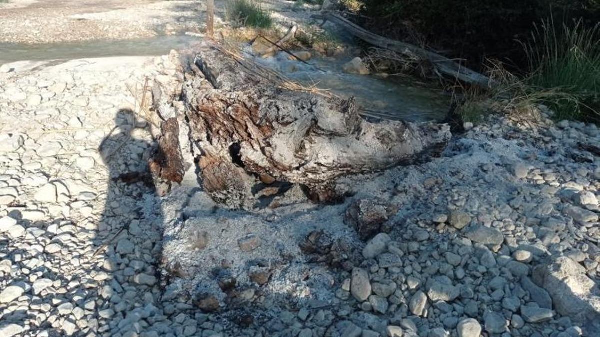 Imagen de la pira, aún humeante, encontrada junto al río Túria, en Gestalgar. | LEVANTE-EMV
