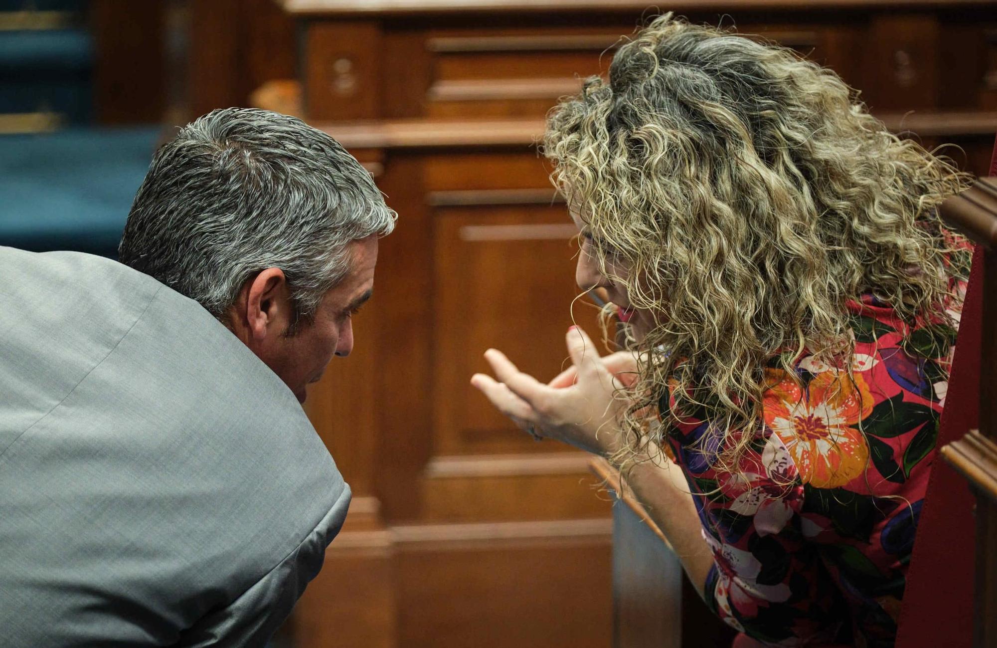 Pleno del Parlamento de Canarias (07/11/2023)