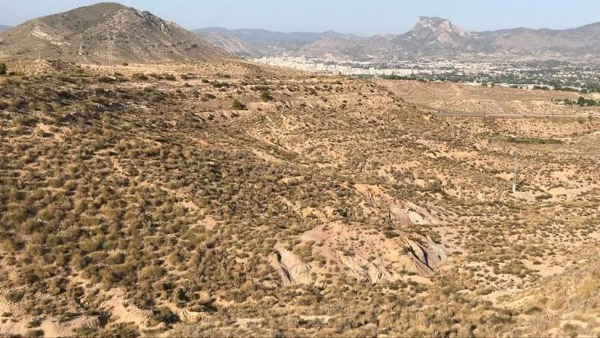 Paisaje desértico situado entre los términos de Monóvar y Elda donde se aprecia al fondo la sierra del Cid-Maigmó. J.C.P.G.