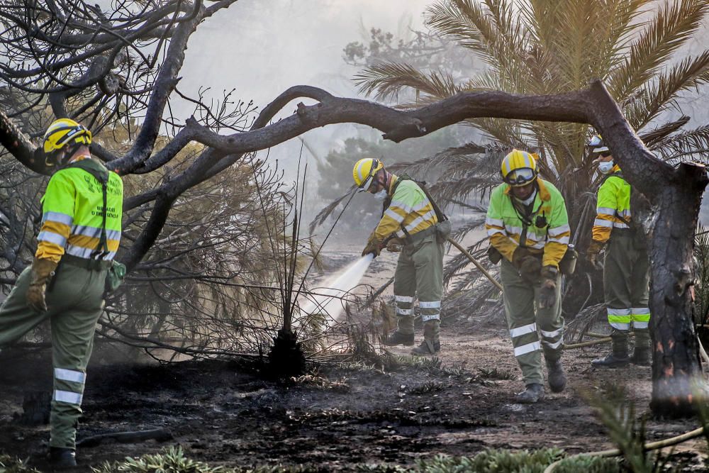 Tareas de extinción del incendio en Guardamar