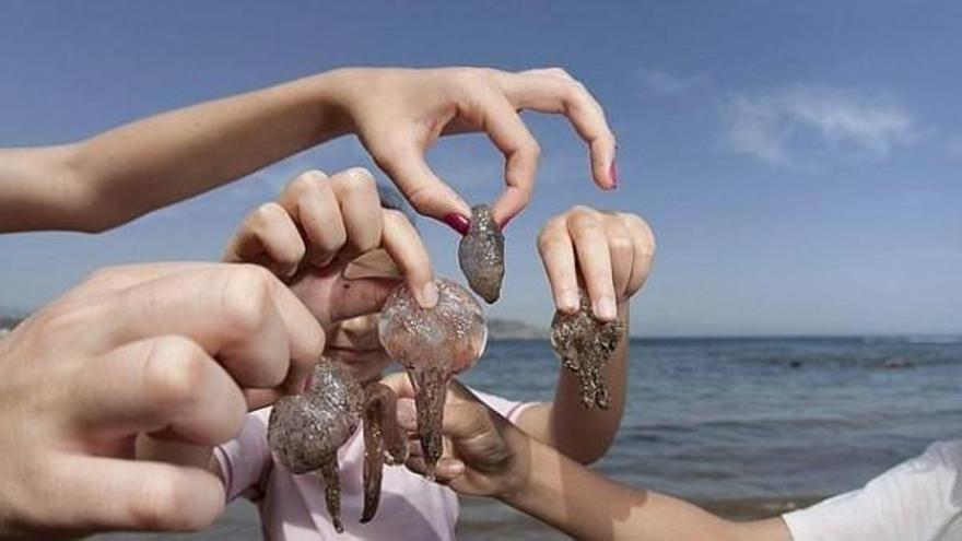 Qué hacer ante las picaduras de medusas