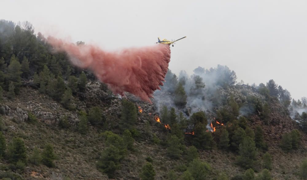 El fuego en los términos de Anna, Chella y Bolbait