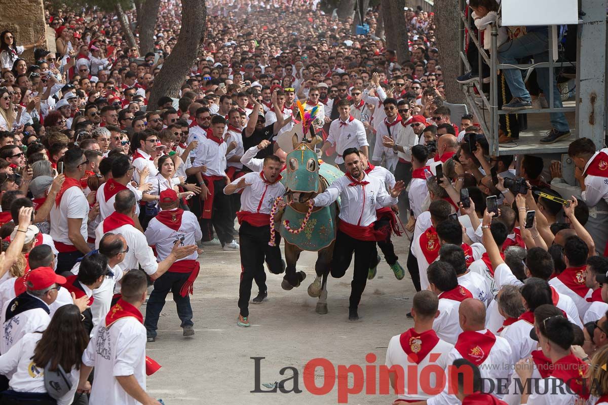 Así ha sido la carrera de los Caballos del Vino en Caravaca