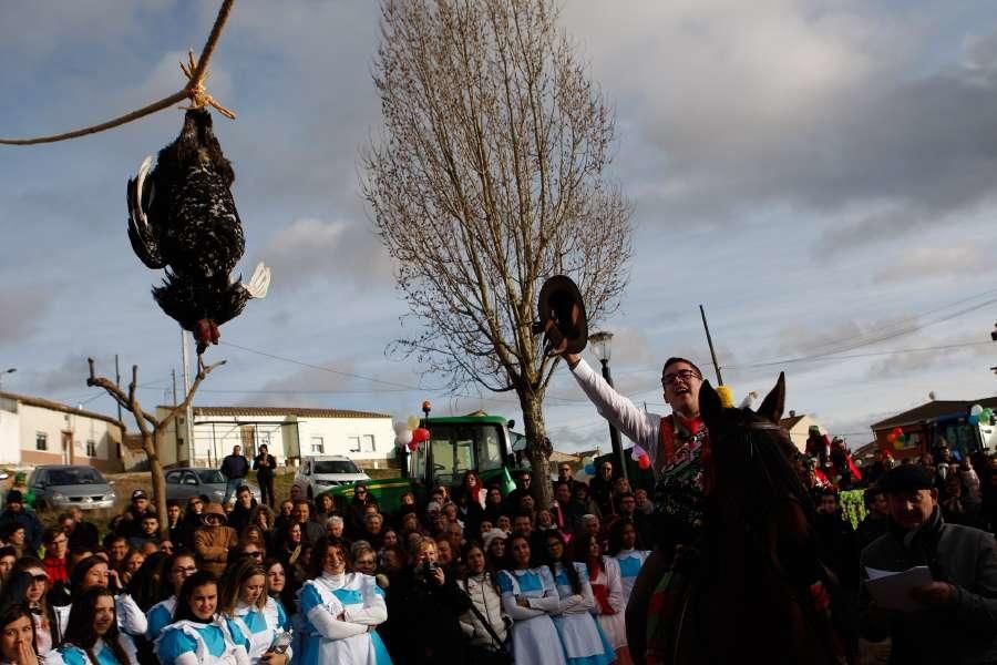 Carrera de Gallos en Fresno de la Ribera