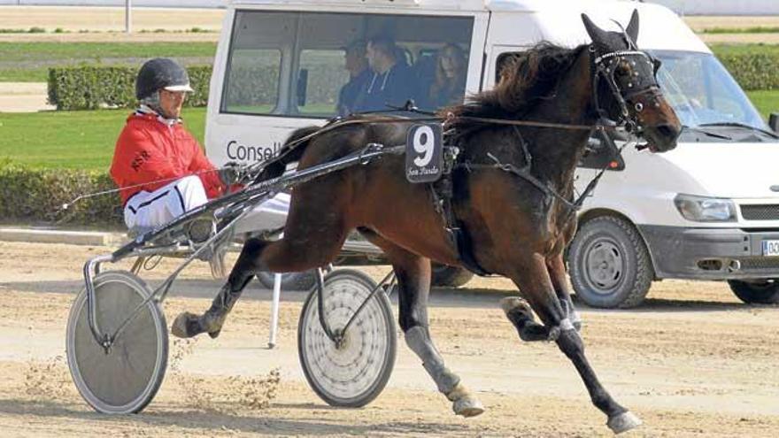 La yegua Dafi RS, con Jaume Fluxá, en los últimos metros de la carrera que ganó y en la que rodó a una media de 1:15´3.