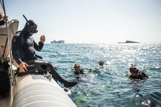 La posidonia regresa a es Molins