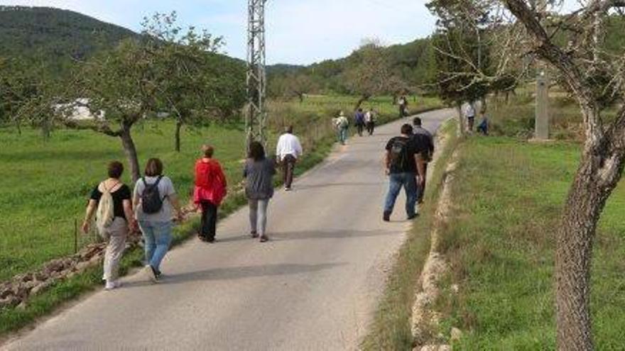 Participantes en una caminata contra el proyecto de Red Eléctrica en noviembre de 2016.