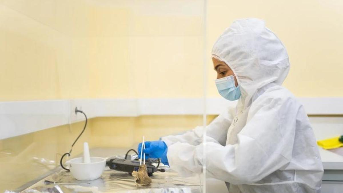 Laboratorio de ADN Antiguo de la Universidade da Coruña.