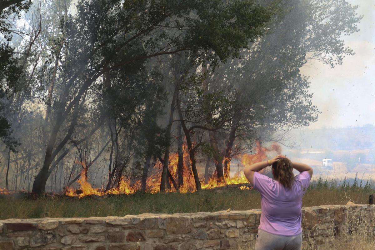 Una mujer observa las llamas del incendio forestal registrado en la comarca de Tábara (Zamora).